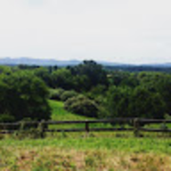 Meet your Posher, Allison - Picture 1 of 1